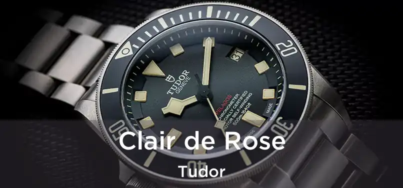  Clair de Rose Tudor